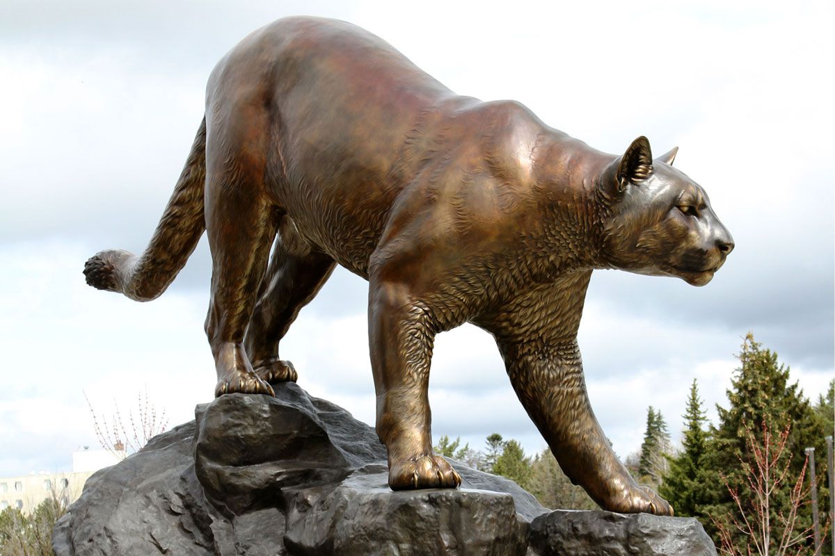 WSU-Mascot-Washington-State-University-Cougar-Sculpture-6